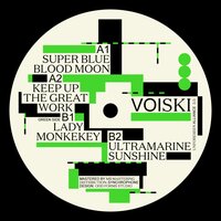 Lady Monkekey - Voiski