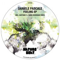 Ans - Daniele Pascale