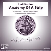Anatomy of a Strip - Andi Vasilos