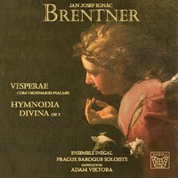 Hymnodia divina, Op. 3: Domine non sum dignus - Adam Viktora & Inegal Ensemble & Prague Baroque Solists