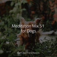 Floating on Air - Dog Music Club & Calming Music for Dogs & Music for Dogs Peace
