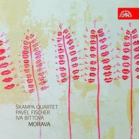 String Quartet No. 2: II. Wild Mountain Thyme - Škampa Quartet