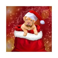Pretty Snowflakes - Top Songs Of Christmas & Italian Christmas Music Academy & Christmas Favourites