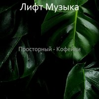 Замечательный, Созерцая изучение - Лифт Музыка