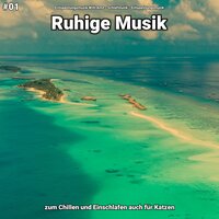 Ruhige Musik pt. 10 - Entspannungsmusik Willi Antz & Schlafmusik & Entspannungsmusik