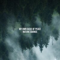 New Age Music Therapy – Nature Oasis - Nature Sounds Paradise