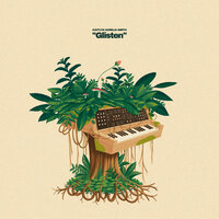 Glisten - Kaitlyn Aurelia Smith