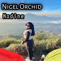 Vento Ubanent - NADINE