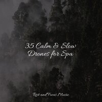 Trust - Pro Sound Effects Library & Namaste Yoga & Avslappning Sound
