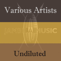 Undiluted - Adigun