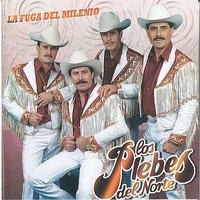 Esto Si Es Amor - Los Plebes Del Norte