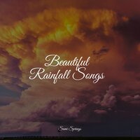 Rainy Beach - Musica Para Dormir y Sonidos de la Naturaleza & White Noise Sleep Sounds & Natural Sample Makers