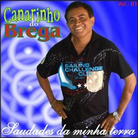 Sem o Seu Amor - Canarinho do Brega
