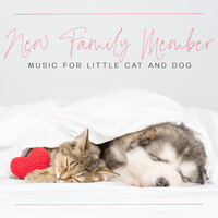 Linger in the Sun - Pet Music Academy