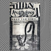 Acetones - Allotropes