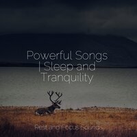 Soulful Beauty - White Noise Relaxation & Relaxamento & Música para Relaxar Maestro