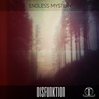 Run If You Can - Endless Mystery