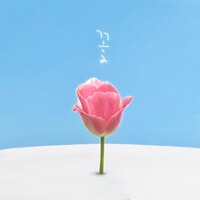 꽃 (Inst.) - Bora