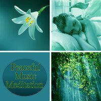 Soul Healing - Interstellar Meditation Music Zone