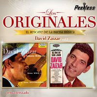 Te he de querer - David Zaizar