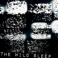 Dial Back the Discomfort - the wild sleep
