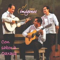 Un Tipo Como Yo - Trio Imágenes de Oaxaca