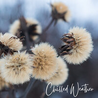 A Theme Tune for the Chill - Teres & Mariko Nakabayashi