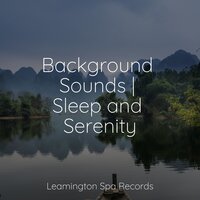 Tranquility - Nature Ambience & Calm shores & Nature and Rain