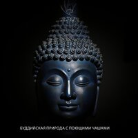 Баланс безмятежности - Silent Meditation Zone