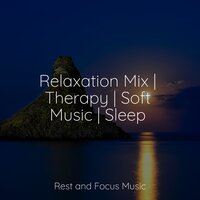 Dulcet Winds - Sounds of Nature White Noise for Mindfulness Meditation and Relaxation & Sounds of Nature White Noise Sound Effects & Ambient Forest