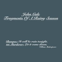 Amsterdam - John Cale