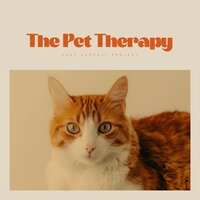 Stairs Leading to the Seagulls - Reiki for Animals