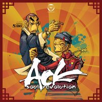 功夫 - ACK