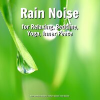 Restful Perceptions - Nature Sounds & Rain Sounds & Rain Sounds to Sleep To