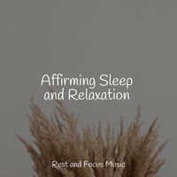 Peaceful - ZEN & Deep Sleep Meditation & Ambientalism