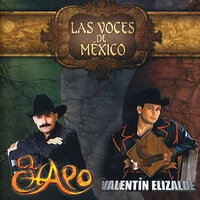 La Noche Perfecta - El Chapo