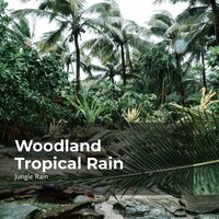 Rain in Swampy Woods - Deep Rain Sampling & Nature and Rain & Jungle Rain