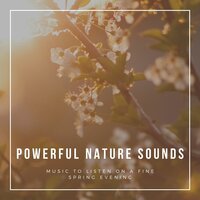Calm Nature Lullaby - Spring Awakening
