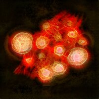 Element - Producer