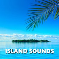 Rich Ocean Waves - Deep Sleep