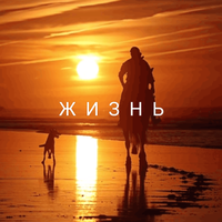 Жизнь - Ренат Мансуров & Денис Шолохов