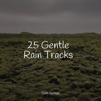 Stream, Small, Birds, Close - Egyptian Meditation Temple & Guided Meditation & Natural Samples