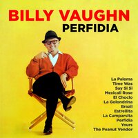Estrellita - Billy Vaughn
