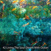Капля в море - Ocean Sounds Collection