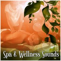 Soft Music - Relaxing music