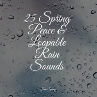 Lightly Sprinkling - Naturaleza Sonidos & Sleepy Night Music & Nature Ambience
