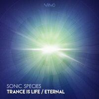 Eternal - Sonic Species
