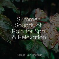 Ocean, Small, Waves - Natureza Musica Bem-Estar Academia & Rainfall & Ambient Music Therpy