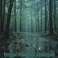Тёплая Ночь Ручейка - Супер расслабляющие звуки & Супер релакс