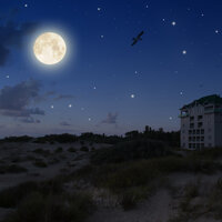 Deeply Dreaming - Spa Relaxation